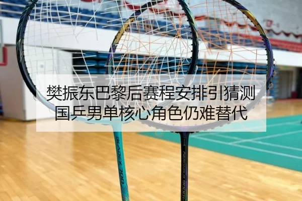 樊振东巴黎后赛程安排引猜测 国乒男单核心角色仍难替代